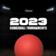 Dodgeball Tournaments 2023